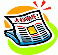 Employment Opportunity Treasurer Collector