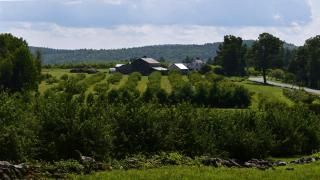 Riiska Brook Orchard