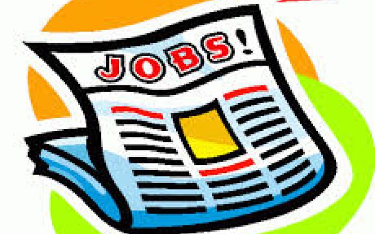 Employment Opportunity Treasurer Collector
