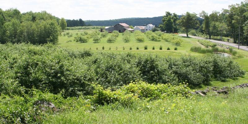 Riiska Farm in Sandisfield